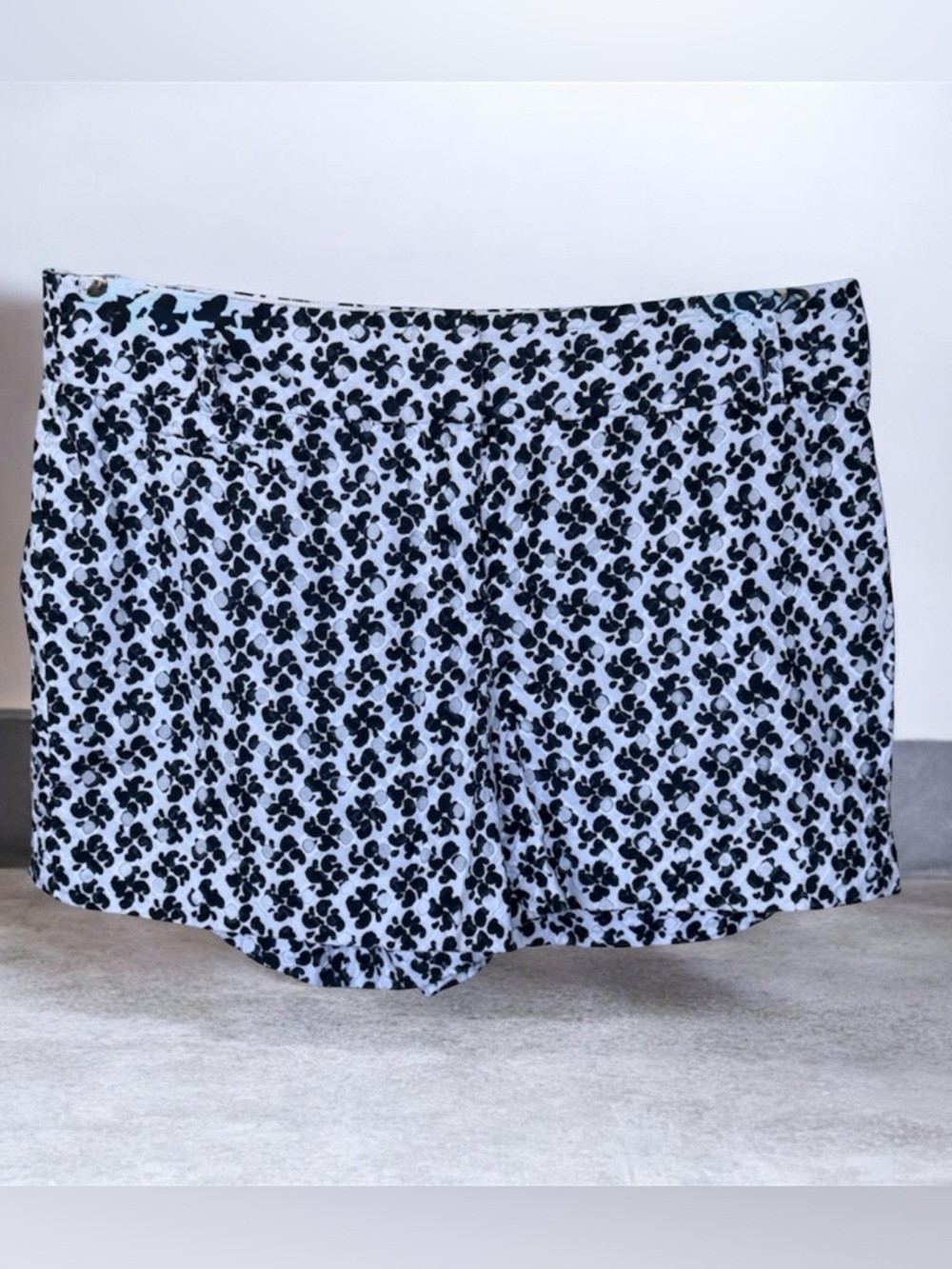 Ann Taylor Loft Navy White Eyelet 3.5” Shorts Lined Coquette Classic Preppy Core